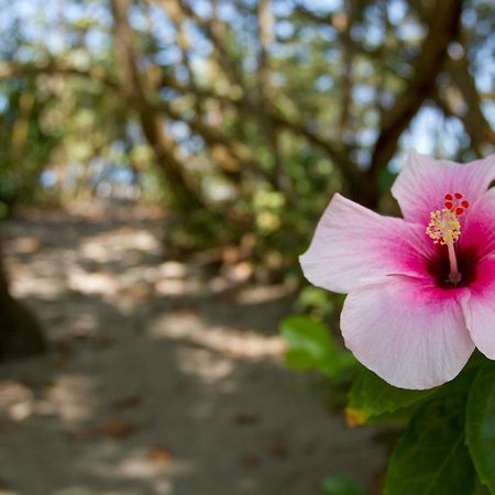 Gitana Del Mar Beach Retreat ブリタカ エクステリア 写真