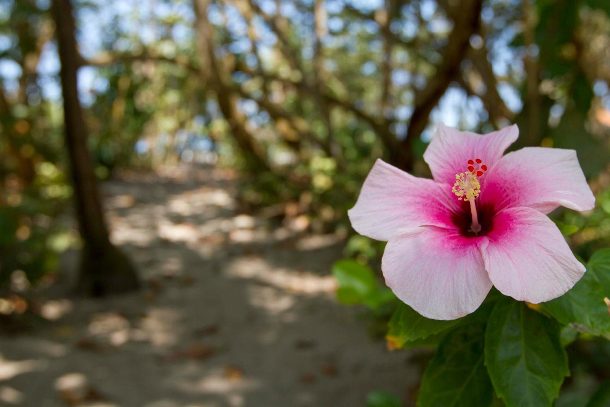Gitana Del Mar Beach Retreat ブリタカ エクステリア 写真